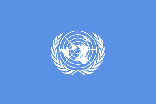 Logo National Model United Nations